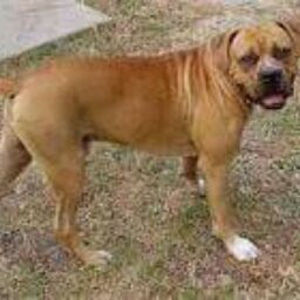 Meet your Posher, Regina